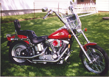 buckwheat softail