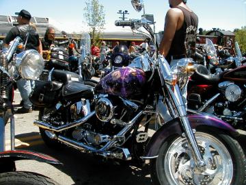 web_bike1.jpg (34156 bytes)