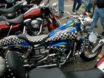 web_bike2.jpg (33216 bytes)