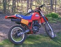 xl350_1thumbnail.jpg (14265 bytes)