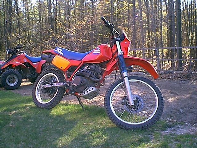 xl350_2.jpg (92613 bytes)